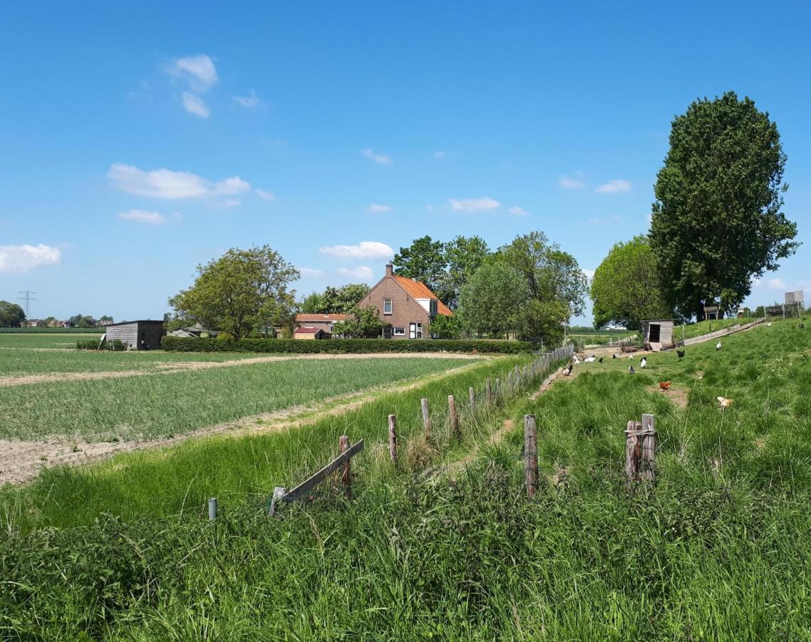 “In Oans Oefje” Parel In De Polder! Lägenhet Lewedorp Exteriör bild