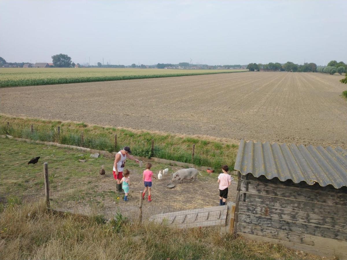 “In Oans Oefje” Parel In De Polder! Lägenhet Lewedorp Exteriör bild