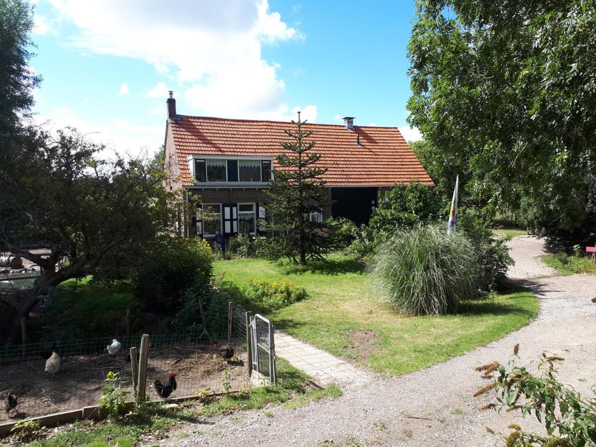 “In Oans Oefje” Parel In De Polder! Lägenhet Lewedorp Exteriör bild