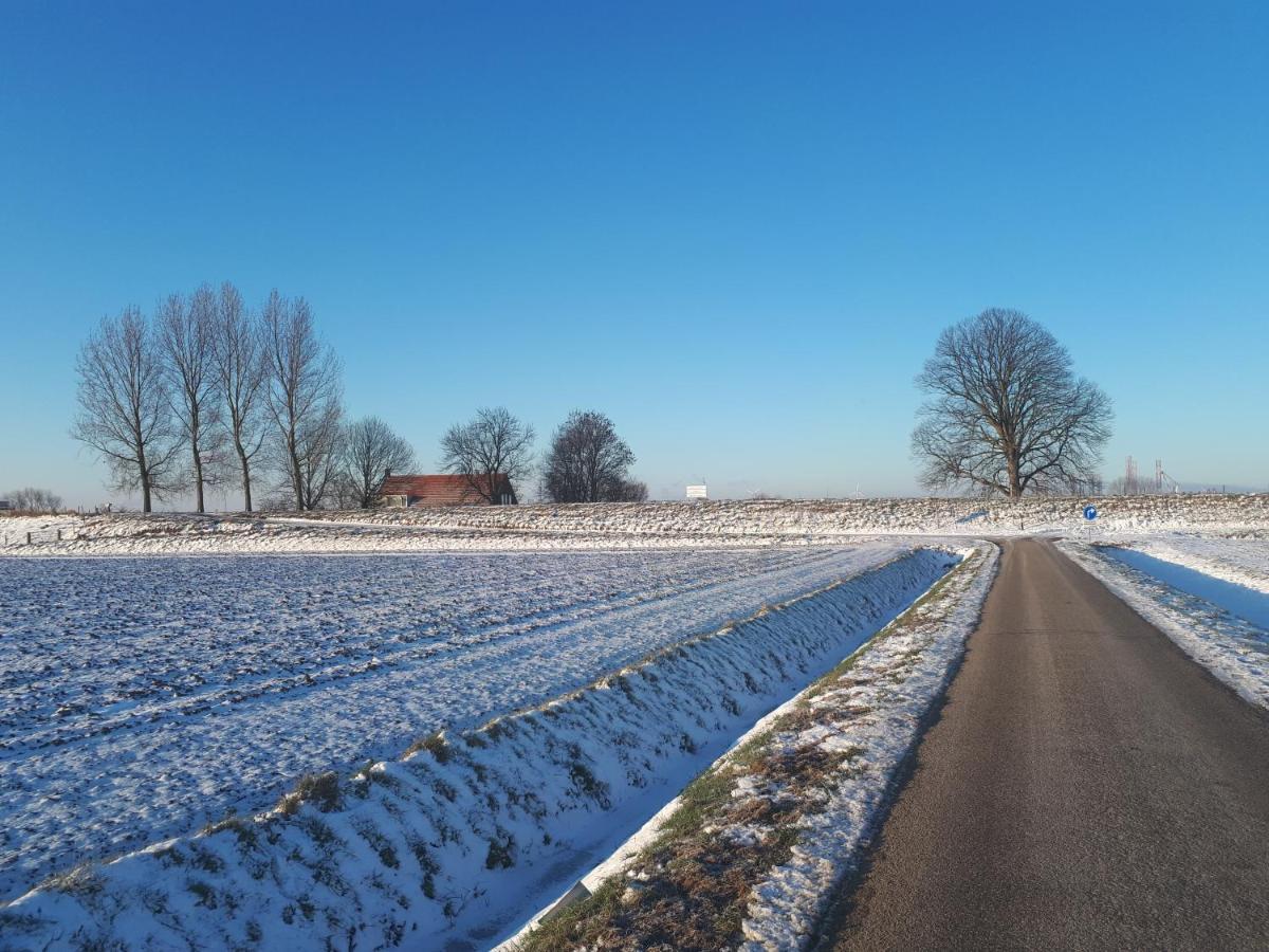 “In Oans Oefje” Parel In De Polder! Lägenhet Lewedorp Exteriör bild