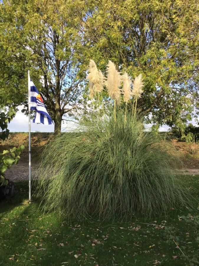 “In Oans Oefje” Parel In De Polder! Lägenhet Lewedorp Exteriör bild