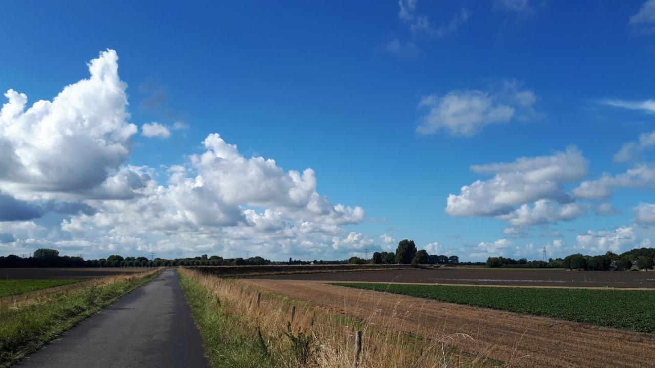 “In Oans Oefje” Parel In De Polder! Lägenhet Lewedorp Exteriör bild