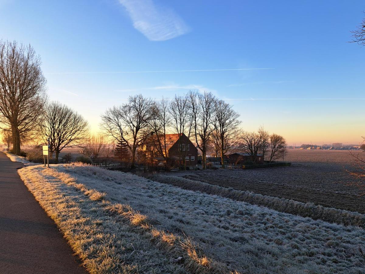 “In Oans Oefje” Parel In De Polder! Lägenhet Lewedorp Exteriör bild