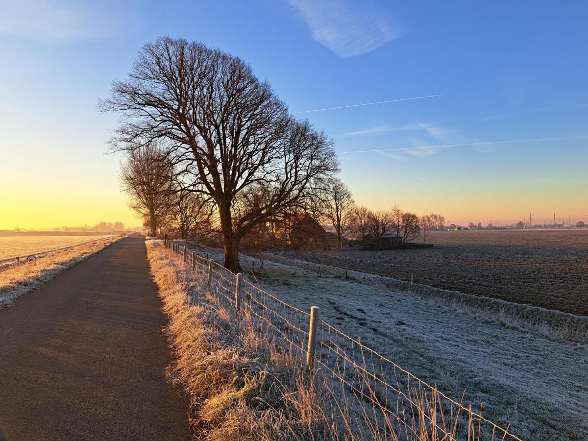 “In Oans Oefje” Parel In De Polder! Lägenhet Lewedorp Exteriör bild